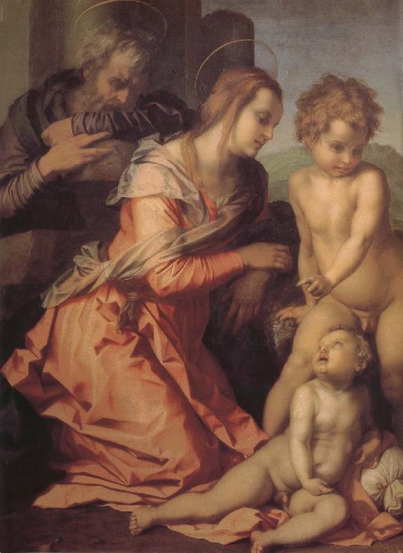 Andrea del Sarto Holy family Germany oil painting art